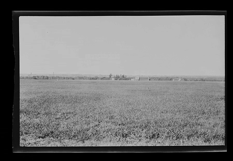 P26-0085.jpg