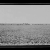 P26-0085.jpg