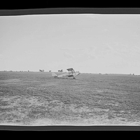P26-0018.jpg