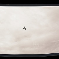 P26-0017-2.jpg